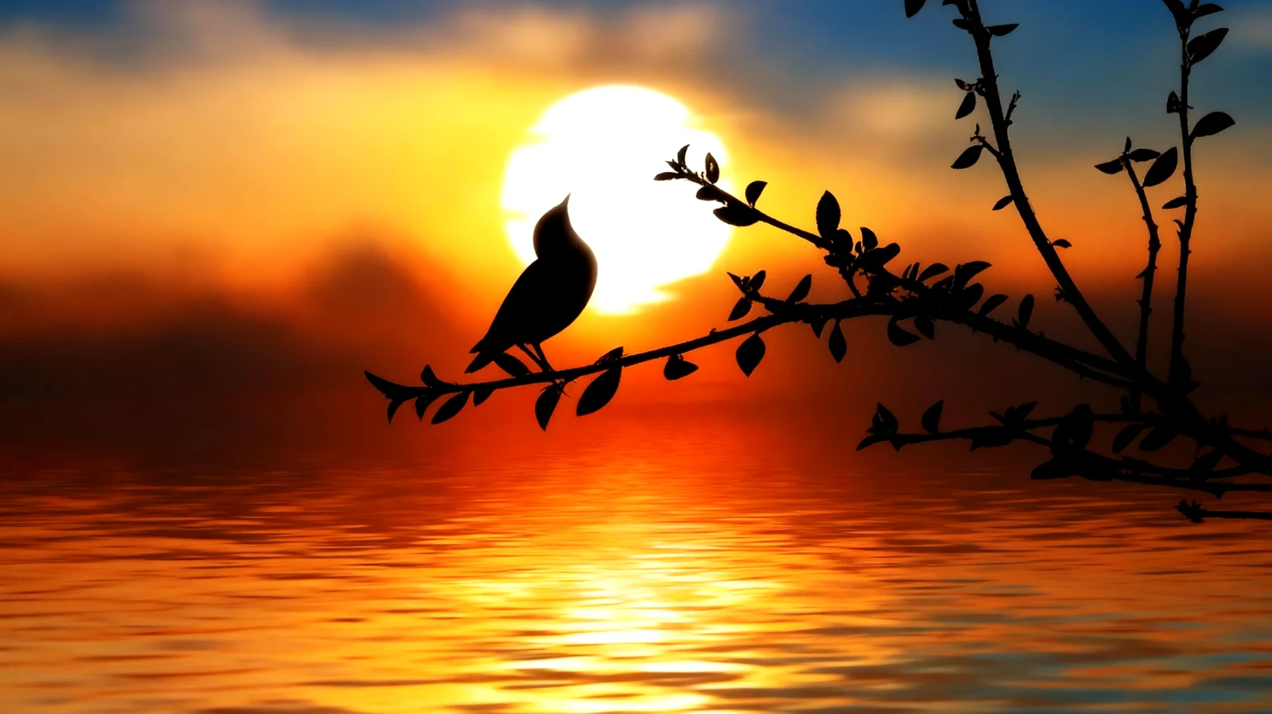 Beautiful 2026-01-25T08:34:48.728Z"