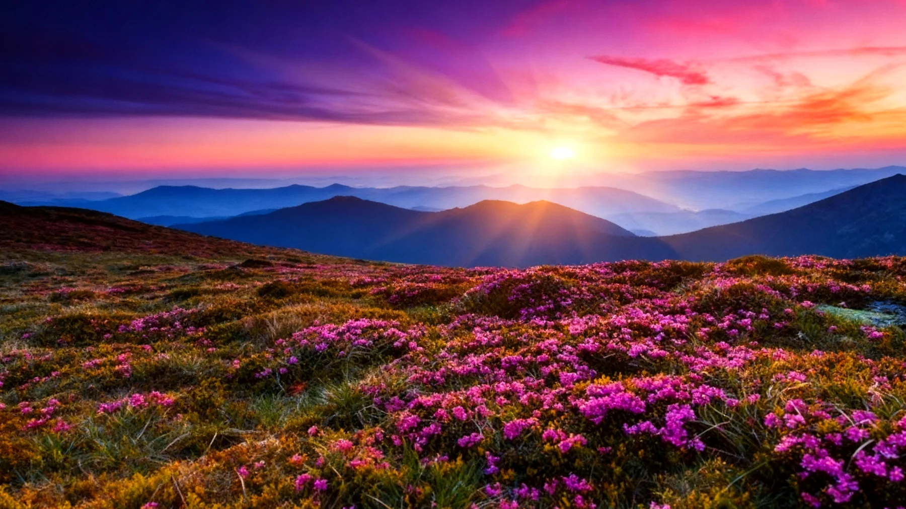 Beautiful 2026-01-29T08:34:26.360Z"