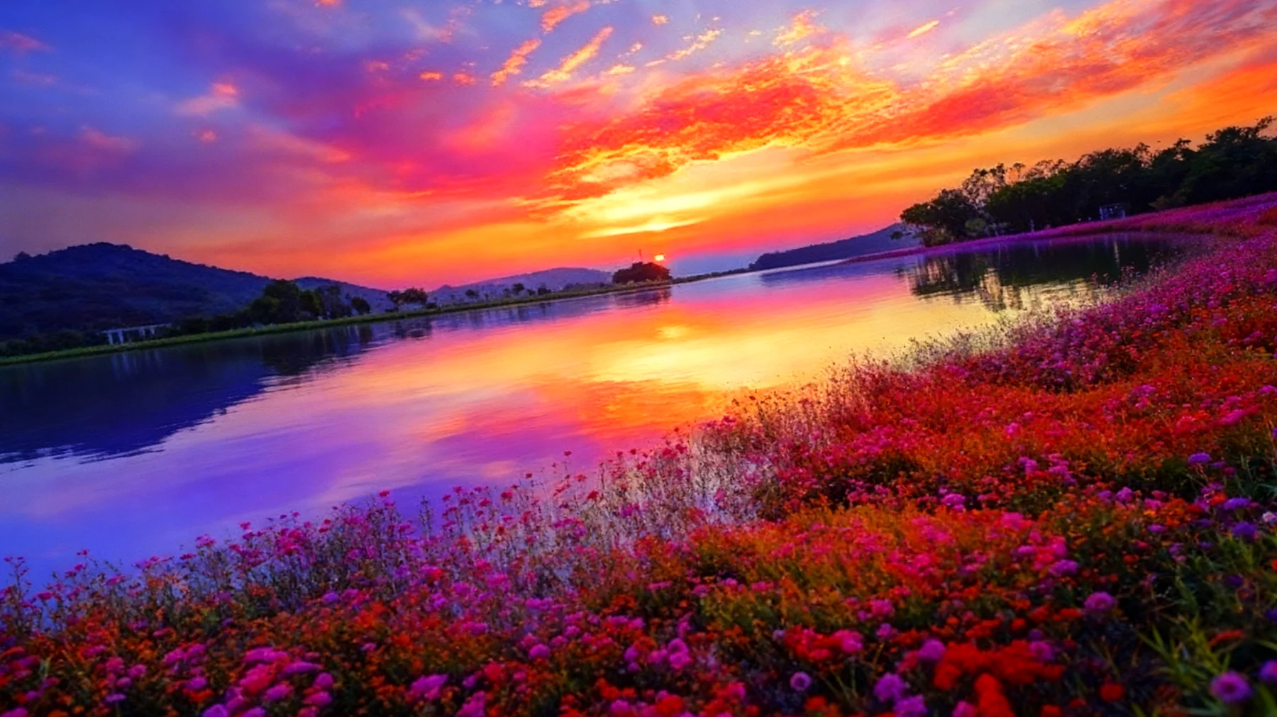 Beautiful 2026-02-18T06:34:45.640Z"