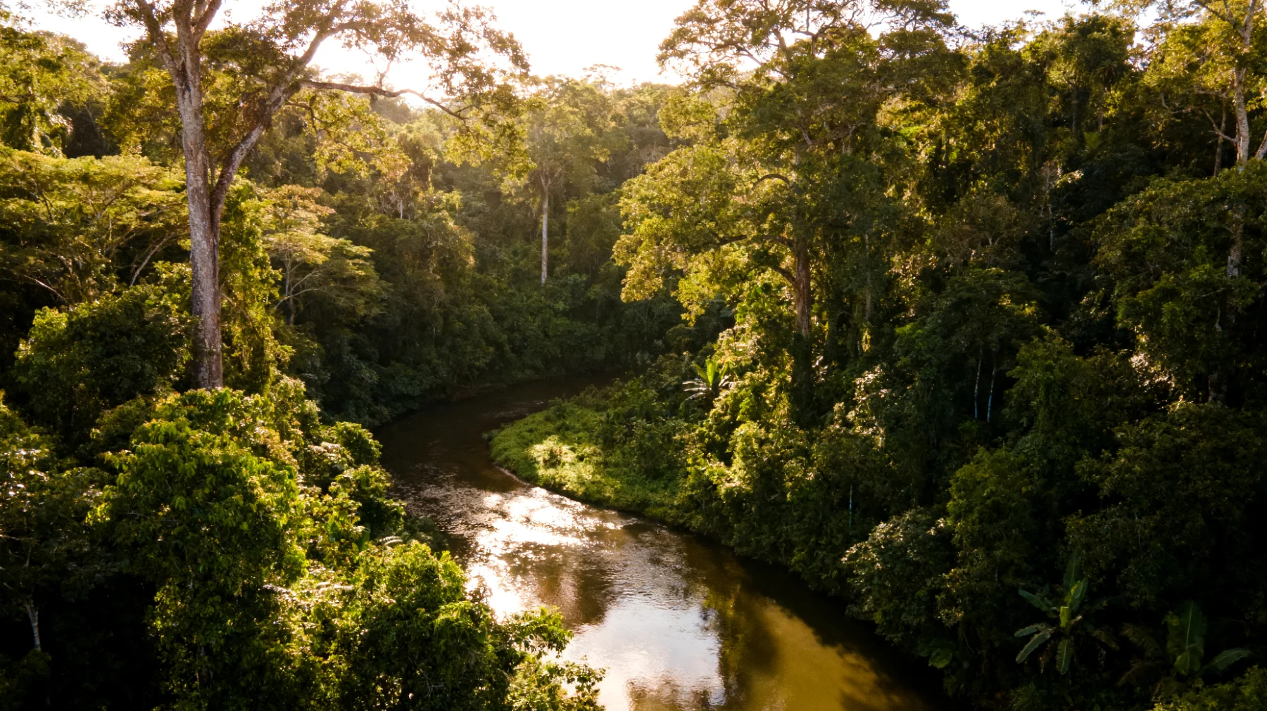 Parco Nazionale del Manu"